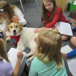 Bridgeview Montessori School - Check out our service dog, Triss. She loves school.