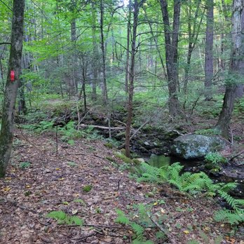 Noel Baker Trail - Brook - Hiking Near Me - Canton, Connecticut