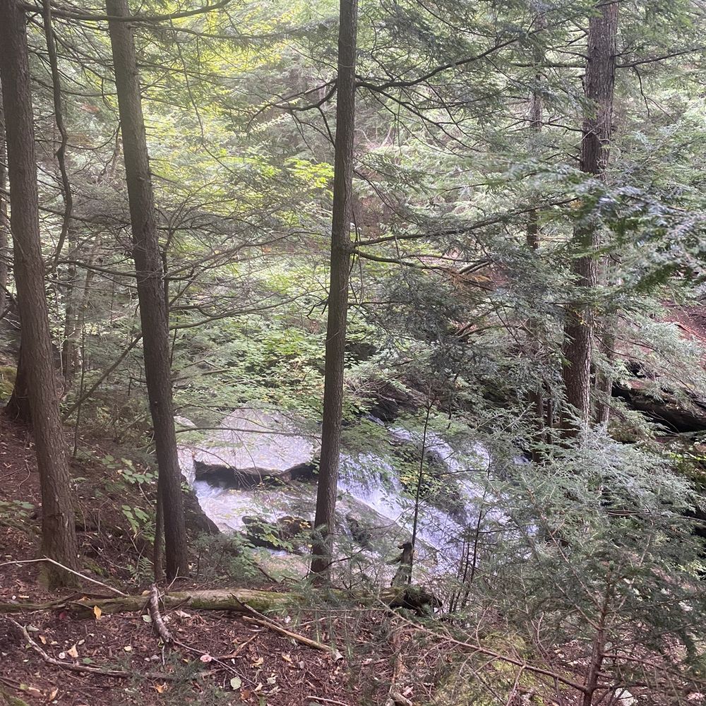 Bingham Falls - Hiking Near Me - Stowe, Vermont