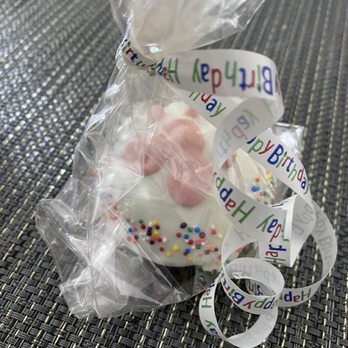 Four Muddy Paws - Doggy cupcake - Pet Groomers Near Me - Edwardsville, Illinois