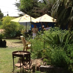 Ducks In A Row - Nice seating areas available under the palm trees and umbrellas in the garden