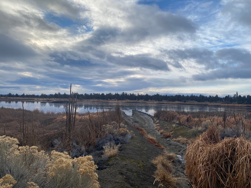 HATFIELD PONDS Updated September 2024 22395 McGrath Rd, Bend