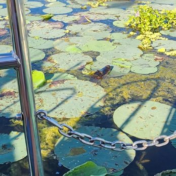 Marsh Beast Airboat Tours - Boating Near Me
