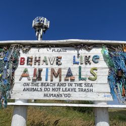 Strandpaviljoen Zeezicht