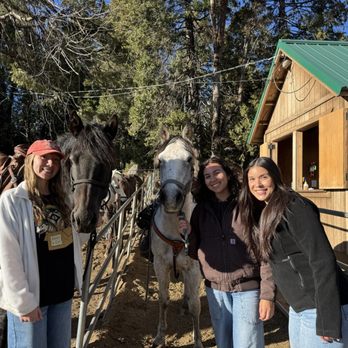 Yosemite Trails Horseback Adventures - Horseback Riding Near Me - Fish Camp, California Yosemite Trails Horseback Adventures - Horseback Riding Near Me - Fish Camp, California