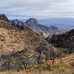 Emory Peak - Instagram: @telephonesmoothie