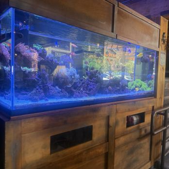 Brody's Restaurant - Aquarium in the dining area - Barbeque Near Me - Sacramento, California Brody's Restaurant - Aquarium in the dining area - Barbeque Near Me - Sacramento, California