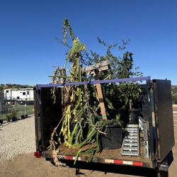 Hades Hauling - Delivered to my homestead