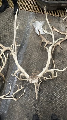 Large Animal Research Station by null