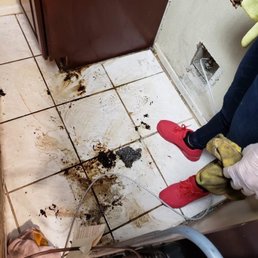 At least 10 years of dirt under the refrigerator. Before photo. At least 10 years of dirt under the refrigerator. Before photo.