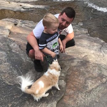 Tailwaggers - Pet Sitting Near Me - Gainesville, Georgia Tailwaggers - Pet Sitting Near Me - Gainesville, Georgia