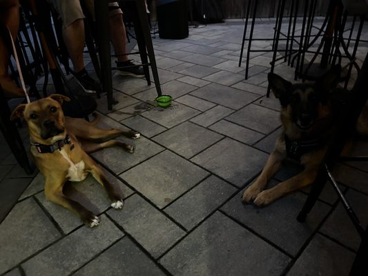 The Pour Yard by null