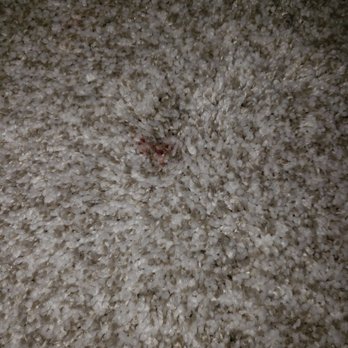 City Carpet Outlet - Carpeting Near Me - Fort Wayne, Indiana