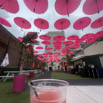 Rosa’s At Park - Rooftop - Latin American Near Me - Bronx, New York