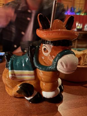 Gato Exotico by null