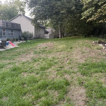 Pro Turf and Pro Pest Solutions - Backyard and grubs that were missed - Tree Services Near Me - Belton, Missouri Pro Turf and Pro Pest Solutions - Backyard and grubs that were missed - Tree Services Near Me - Belton, Missouri