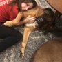 Photo of The Dog Sitter