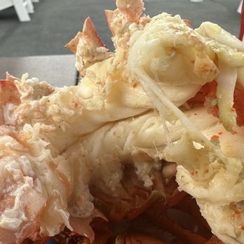 Wells Beach Lobster Pound - That's a nice hunk of lobster meat. - Seafood Near Me - Wells, Maine Wells Beach Lobster Pound - That's a nice hunk of lobster meat. - Seafood Near Me - Wells, Maine