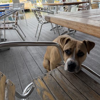 Claudio's Waterfront - Dog friendly - Seafood Near Me - Greenport, New York
