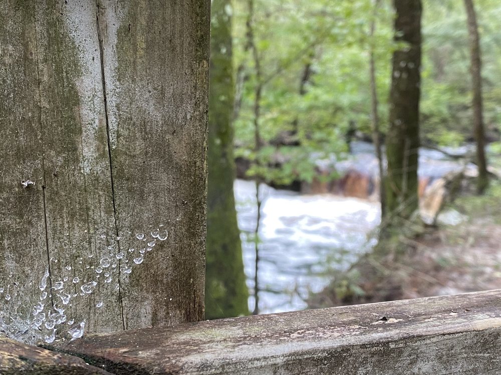 Falling Creek Falls Image