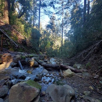 Uvas Canyon County Park - Parks Near Me - Morgan Hill, California