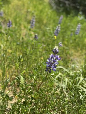 Hollywood Reservoir by null