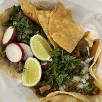 Tacos El Chapo - Asada taco and Cecina taco - Tacos Near Me - New Port Richey, Florida Tacos El Chapo - Asada taco and Cecina taco - Tacos Near Me - New Port Richey, Florida