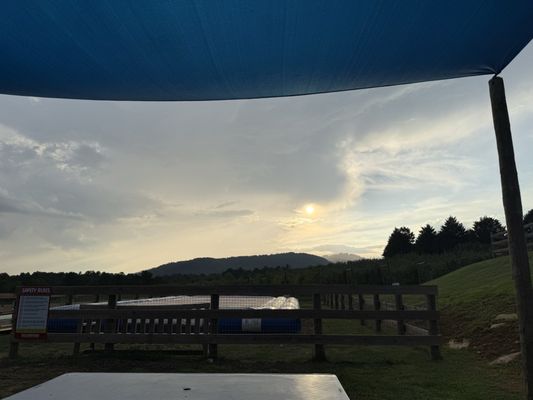 Justus Orchard by null