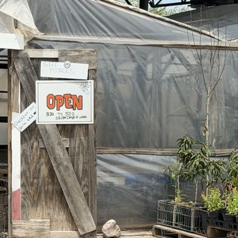 Pam's Plants - Signage - Nurseries & Gardening Near Me - Oklahoma City, Oklahoma Pam's Plants - Signage - Nurseries & Gardening Near Me - Oklahoma City, Oklahoma
