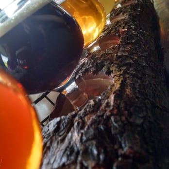 Arizona Wilderness Brewing - Flight, and you pick the Five. - Breweries Near Me - Gilbert, Arizona
