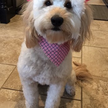 The Sparkly Spot - Pet Groomers Near Me - Norman, Oklahoma