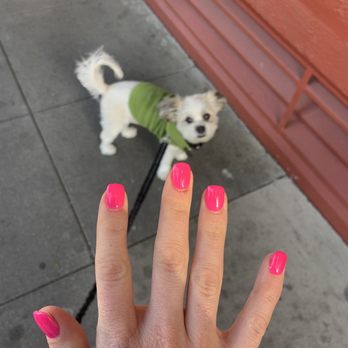 Fancy Fingers & Spa - Nail Salons Near Me - San Francisco, California Fancy Fingers & Spa - Nail Salons Near Me - San Francisco, California