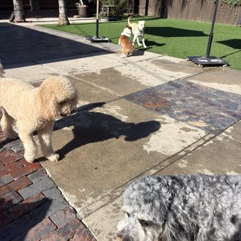 Marpawws - Pet Boarding Near Me Marpawws - Pet Boarding Near Me