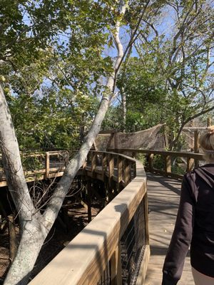 Robinson Preserve by null