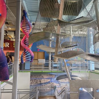 Glazer Children's Museum - Children's Museums Near Me - Tampa, Florida Glazer Children's Museum - Children's Museums Near Me - Tampa, Florida
