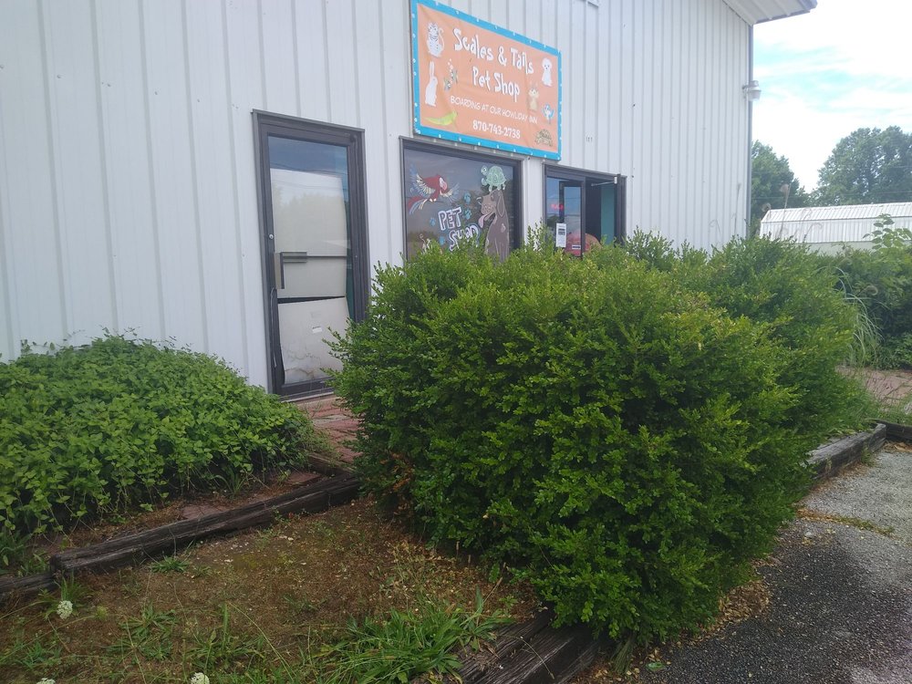 SCALES AND TAILS Updated June 2024 421 N Adams St, Harrison