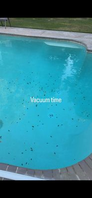 AV Pool Pros on Yelp
