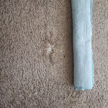 Genuine Carpet Repairs - Before(Pet Damage) - Carpeting Near Me Genuine Carpet Repairs - Before(Pet Damage) - Carpeting Near Me