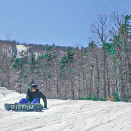 Gunstock
