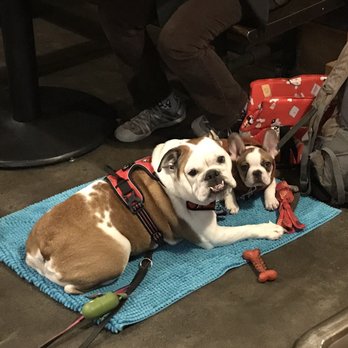 Silver Moon Brewing - Thank you for allowing well behaved dogs like Tempest and Kimchi. - Breweries Near Me - Bend, Oregon