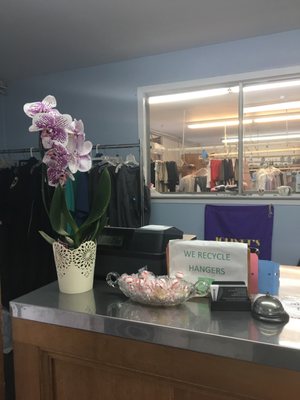 Million Dollar Cleaners