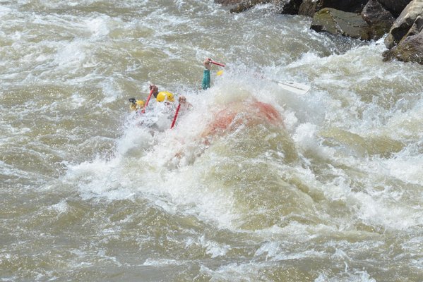 Raft Masters by null
