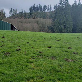 Moulton Falls Regional Park - Beautiful views - Hiking Near Me - Yacolt, Washington