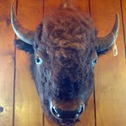 Photo of Wheel Inn Restaurant - Cabazon, CA, United States. Was He my lunch?