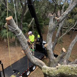 Laird Tree Service
