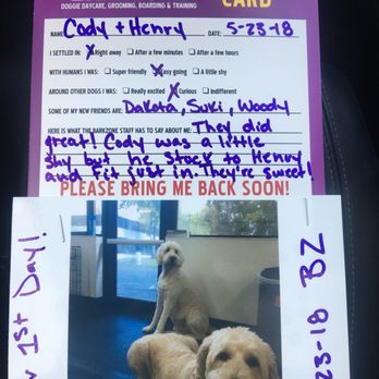 Barkzone- Bethany - Pet Groomers Near Me - Beaverton, Oregon
