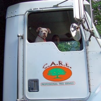 CARE Professional Tree Service - CARE Professional Tree Service Richmond VA - Tree Services Near Me - Powhatan, Virginia CARE Professional Tree Service - CARE Professional Tree Service Richmond VA - Tree Services Near Me - Powhatan, Virginia