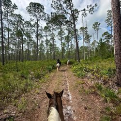 Orange Blossom Trail Rides