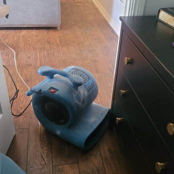 Schraders Carpet Care - Carpet Cleaning Near Me Schraders Carpet Care - Carpet Cleaning Near Me
