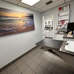 Arbor Pet Hospital